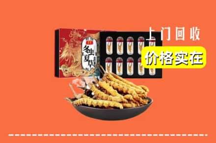 临汾市汾西回收冬虫夏草