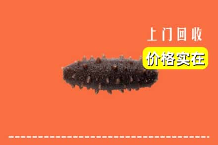 临汾市汾西回收海参