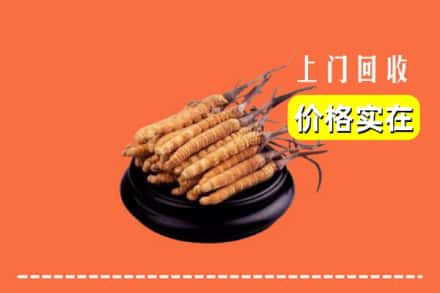 临汾市汾西回收冬虫夏草
